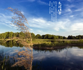 新義水鄉中醫藥浴康養、黃龍溪古鎮二日游
