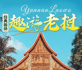 【趣游老撾 · 經(jīng)典版納】—昆明、普洱、西雙版納、磨丁、瑯勃拉邦四動(dòng)8日游